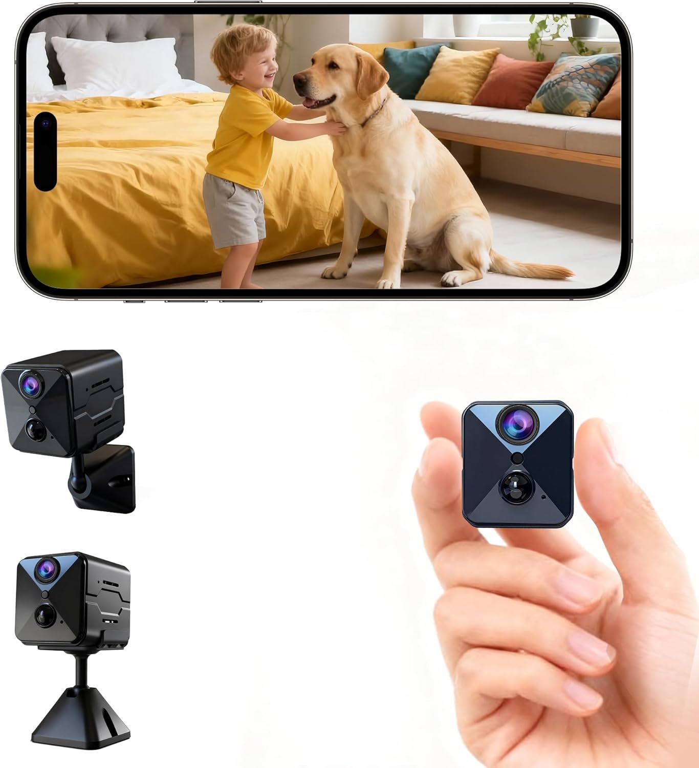 Vue 8
