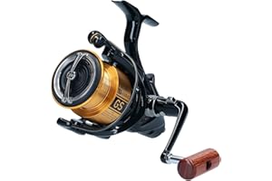 Daiwa 20 GS BR LT, 4000-C, Bite n' Run, Freespool Fishing Reel, Rear Drag, 20GSBRLT4000C