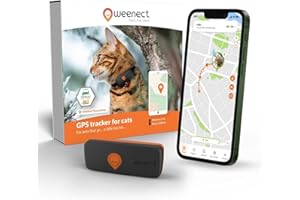 Weenect Cat XS - NEW GPS Tracker for Cats | Real-time Mini GPS Tracker for Cats | Smallest model on the market | Operates with a subscription | Collar included
