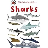 Mad About Sharks (Mini)