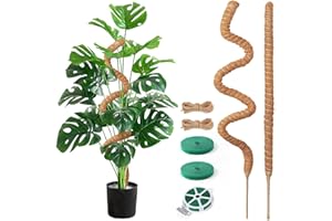 Aulese Podpórka do roślin pnących Monstera 75 cm, 2 sztuki prętów, wsparcie dla roślina pokojowych