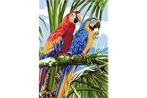MXJSUA Square diamond painting 5D fai da te con i numeri,pittura con diamanti quadrati con pappagalli colorati,diy ricamo punto croce decorazione da parete, 30 x 40 cm
