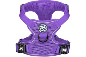 PoyPet Odblaskowa, miękka, oddychająca, siateczka, bez pocenia się, podwójna kamizelka z regulowanym dekoltem i kamizelką (fioletowa, M)