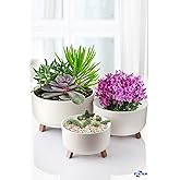 Tripot Saksı (Krem, 3 Boy)