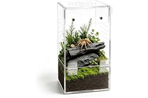 Akrylowe terrarium mini faunarium dla skaczących pająków, wysokie 8 × 8 × 15 cm, akrylowe pudełko do karmienia owadów z wentylacją, 360° przezroczyste pudełko hodowlane dla ślimaków, ptaszników