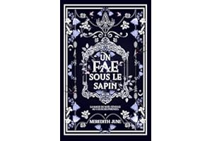 Un fae sous le sapin: Romance dans les Pyrénées