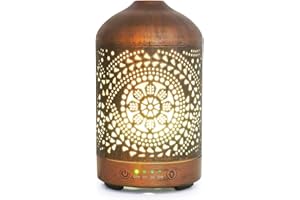 ‎EARNEST LIVING Earnest Living Aroma-Diffuser ätherische Öle, Raum-Luftbefeuchter Schlafzimmer mit Timer-Funktion, Lufterfrischer Wohnung mit 7 Licht-Modi, Duftöl Diffuser elektrisch aus Metall, 100ml
