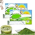 SBG Barley Grass, Barley Grass Powder, 100% Pure and Organic Sbg Barley Grass Juice Powder, Organic Barley Grass Juice Powder, Boost Your Health Naturally (2 Box)