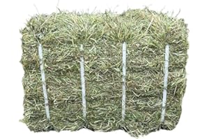 FEARNS Timothy Hay & Fresh Green Ryegrass Mix 12.5KG – Rabbit Hay Bale – Guinea Pig Hay, Feeding Hay for Rabbits, Horse Hay – Organic, High Fibre, Compressed, Dust Extracted Pet Hay