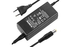 LabTEC 42V 2A Power Fast Charger, 5.5mm 2.1mm Adaptador de Enchufe para baterías de Bicicleta eléctrica DC 36V Fuente de alimentación Compatible con Gotrax GXL G2 V2 S2 Apex Cityscape GKS D1