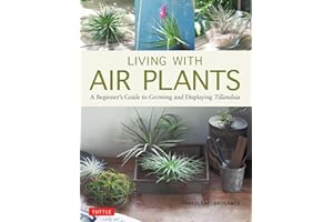 Living With Air Plants: A Beginner's Guide to Growing and Displaying Tillandsia