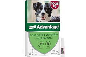 Advantage Spot On Flea Treatment For Large Dogs 10 - 25kg (1 pipette, 250mg), Kills Fleas Within 24 Hours, Prevents Further Infestation For Up To Four Weeks