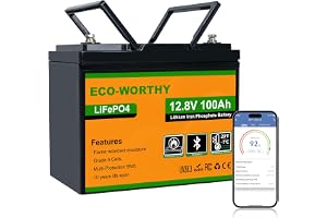 ECO-WORTHY 12 V 100 Ah LiFePO4 Bluetooth med BMS lågtemperaturskydd, 1 280 kWh litiumbatteri 12 V 100 Ah bilbatteri för husbil, husvagn, husbil