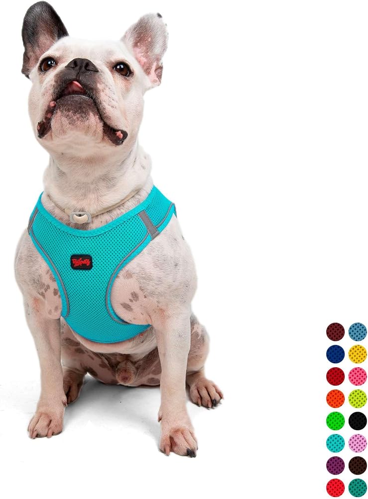 Tailpetz Air-Mesh Küçük ve Orta Irk Kedi Köpek Göğüs Tasması - Yumuşak, Nefes Alabilir, Dayanıklı (Ocean, Large)