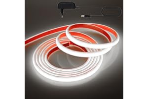HEGEHE - 12V COB LED strisce al neon [5M, luce bianca 6000-6500K], IP68 impermeabile, 320 LED/m flessibile FCOB LED Nastri CRI90+, tagliabile ogni 2,5cm, decorazione domestica