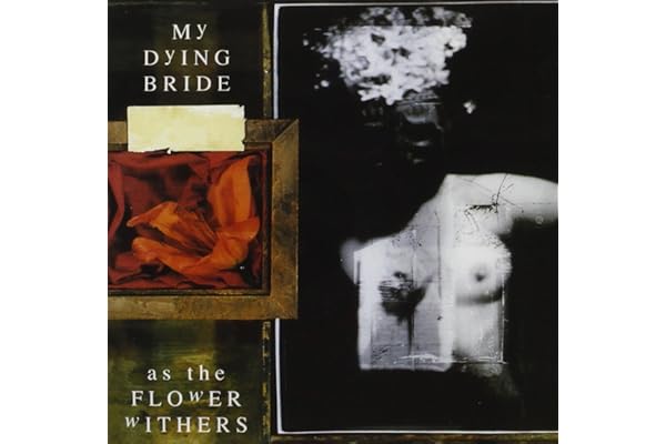 As the Flowers Withers