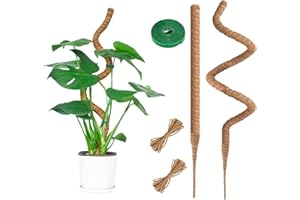 RYHX 95CM Bastoni per Piante,Palo del Muschio per la Pianta,Pali Piegabili della Fibra di Cocco Bastone del Muschio della Pianta,Porta Piante Rampicanti per Piante da Interno（2×95CM）