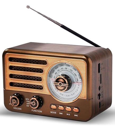 Bose Wave Radio III Bluetooth bundle Titanium Silver : Amazon.in