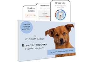 Wisdom Panel Breed Discovery Dog DNA Kit: Most Accurate Dog Breed Identification, Test for 365+ Breeds, MDR1 Health Test, Ancestry, Relatives
