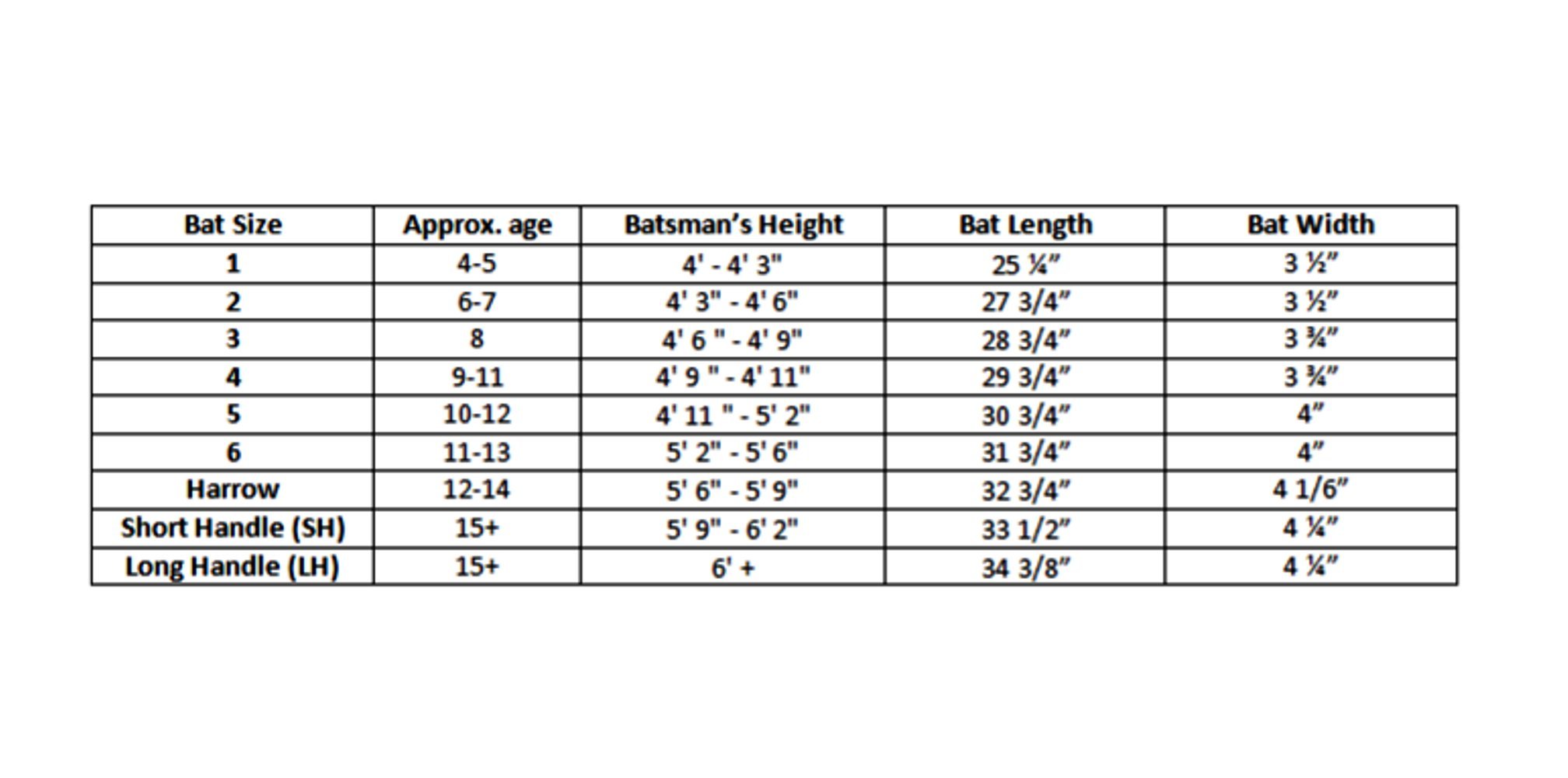 PM M Kids Junior Cricket Bat with 2 Balls, (Multicolour, 10-12 Years) - Image 3