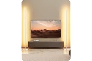 ‎EDISHINE EDISHINE 2 Stück Stehlampe Wohnzimmer, LED Stehlampe Dimmbar, 3000K warmweiße Stehleuchte mit Memory-Funktion, höhenverstellbar 146 cm, moderne Standleuchte für Schlafzimmer und Büro, Silber