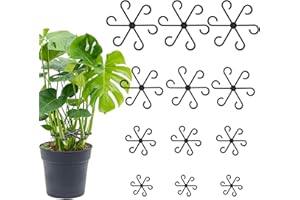 NVGVUP 12 Stück Pflanzenstütze, Vier Größen Pflanzenstielhalter Staudenhalter, Pflanzenhalter Pflanzenklammern zur Unterstützung, Pflanzstützgreifer für Monstera, Blumen, Hortensien, Tomaten (Schwarz)