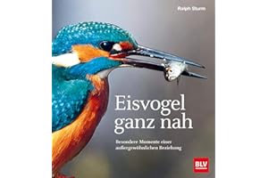 Eisvogel ganz nah: Besondere Momente einer außergewöhnlichen Beziehung (BLV Vögel)