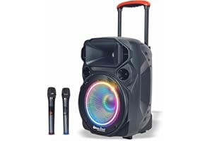 Extreme Sound Cassa audio Portatile Trolley VAN L, 2 Microfoni Wireless, Bluetooth, Batteria Ricaricabile Alta Potenza Autonomia fino a 5 ore - AMPLIFICATA 1500 Watt - Perfetta per Eventi e Karaoke