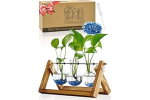 GOODECO Plant Terrarium with Wooden Stand, Air Planter Bulb Glass Vase Metal Swivel Holder Retro Tabletop for Hydroponics Home Garden Office Decoration - 3 Bulb Vase