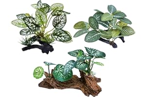 M2cbridge Plantes artificielles en Soie pour Aquarium - Herbe Aquatique - Décoration de Premier Plan (3 Herbes Vertes)