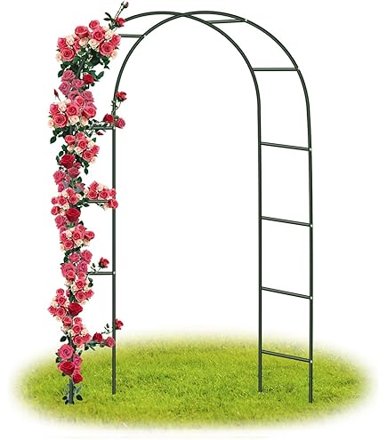 QYANPEN Arco De Jardín Con Puerta, Cenador De Jardín Para Plantas