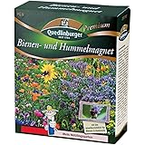 Quedlinburger Bienen (für 200m²)