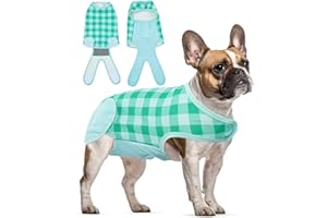 Hjumarayan Erholungsanzug für Hunde nach der Operation, Professioneller Pet Recovery Suit Haustier Karierte Erholungshemd, E-Halsband und Kegelalternative, Schutz vor Wund-/Hautkrankheiten (XL, Grün)