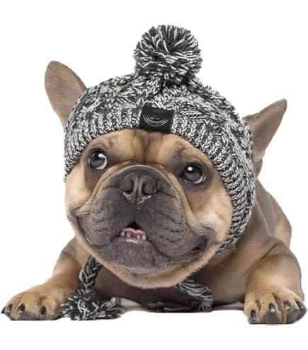 Bonnet D'hiver Pour Chien - Tissu Doux, Réglable, Avec Oreilles, Protection Froid, Lavable, Couleur Mode