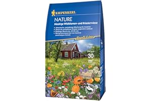 Kiepenkerl Profi-Line Nature Low Wildflower and Herb Meadow, 0.25 kg, Species-Appropriate Lawn Seeds for Flower Meadows, Habitat for Beneficial Insects