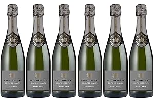 Brut Dargent Blanc de Blancs Extra-Brut - Vin Effervescent Chardonnay Blanc de Blancs Extra-Brut - Méthode traditionnelle - Origine : France (6 x 0.75 L)