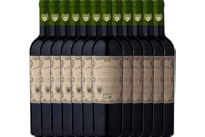 CASA VINICOLA CARLO BOTTER 2er Paket - Doppio Passo Bio Primitivo Puglia IGT - CVCB mit VINELLO.weinausgießer | halbtrockener Rotwein | italienischer Bio-Wein aus Apulien | 12 x 0,75 Liter