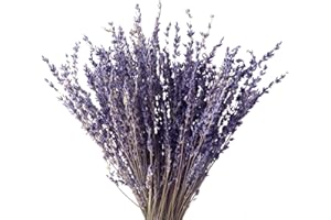 SONGJUM Lavanda Essiccata Fiori Secchi Lavanda Essiccati Per Decorazioni Fiori Lavanda Naturali Arredamento per La Casa Arredamento per Matrimoni Decorazioni per Ufficio Decorazioni per Feste Fai Da Te,100g