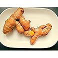 Parshutara Raw Turmeric Roots (Kacchi Haldi) – 100% Chemical-Free, High Curcumin, Fresh & Handcrafted – Ideal for Cooking, Herbal Teas, Skincare & Traditional Ceremonies – Natural Immunity Booster – Ayurvedic Herb – 400g