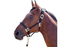 Shires Topaz Nylon Pony/Horse Headcollar - Black Cob