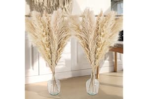 ‎PISKEKAT 12 Stück Real Pampasgras Trockenblumen Deko, 120CM Groß Pampasgras Getrocknet Blumenstrauß, Pampas Grass XXL für Bodenvase, Schilfblume Flauschige Pampas Deko für Hochzeit Boho Deko Heim Wohnzimmer