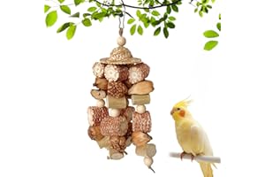 CVASNF Vogelspielzeug, Kauspielzeug Papageienspielzeug aus Natürlichem Maiskolben und Ananasspieße Wellensittich Spielzeug Sittiche Lovebirds Finken Aras Nymphensittiche