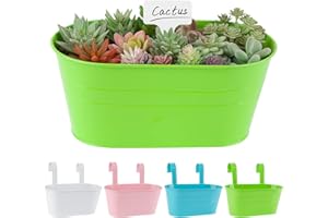 BOFUNX 4 PCS Maceta de Metal Colgante con Soporte Extraíble Cubo Macetero Plantador con Gancho Doble Decoración Exterior Balcón Jardín Patio Pared Terraza para Flores y Plantas