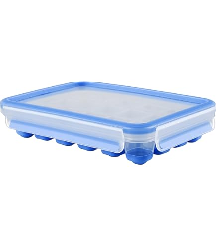 Rotho Eory Grande Boîte De 3,1l Avec Couvercle, Plastique (PP) Sans