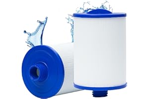 woejgo Spa Filter für PWW50,Pool Filterkartusche Ersatz für PWW50P3,für 6CH-940,FC-0359, 817-0050, 25252, 378902, 03FIL1400. (Weiße*2)