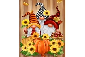 EOBROMD 5D Diamond Painting Kit Completo Gnomo, Pittura Diamante FAI DA TE, Fiore Diamond Painting Bambini Adulti, Strass Ricamo a Punto Croce Painting Decorazione per Casa 30x40cm