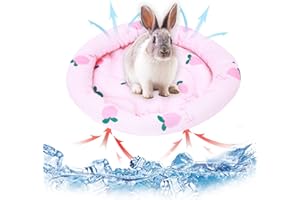 HILEYU Petits Animaux Matelas Refroidissant Lit Lapin Hamster Cooling Pad Summer Ice Silk Sleeping Bed for Small Pet Puppy Guinea Pigs Hamster Rabbits Hamsters Cat (Pink)