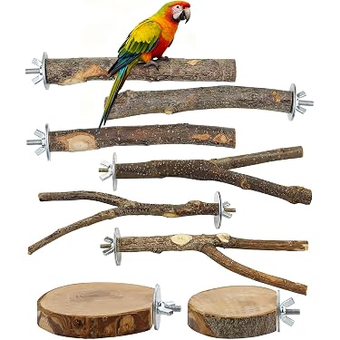 Impeckable Bird Toys 502 Große Schnellverbindungen – 5 Stück, Vernickelter Stahl, Für Vogelspielzeug