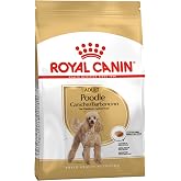 Royal Canin Poodle Yetişkin K&ouml;pek Maması, 3 Kg