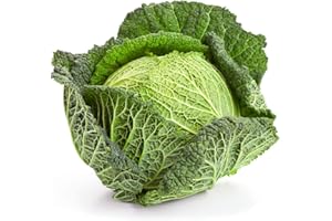 ACQUA TOWER GROWING SYSTEMS Cabbage Plants, Savoy Cabbage 'Serpentine', 6 x Plug Plant Pack, Winter Vegetable Plants, Grow Your Own, Fresh Produce, Winter Cabbages, Garden Ready and Ready to Plant, Premium Quality Vegetables